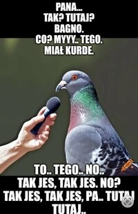 IMG_2036.jpeg