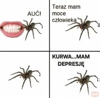 uECH2Dk6wAkseodEFNO4TswQmYDl1HgT.jpg