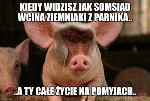 1788901672445.jpeg
