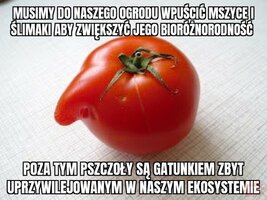 1789063505069.jpeg