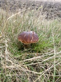 IMG_1529.jpeg