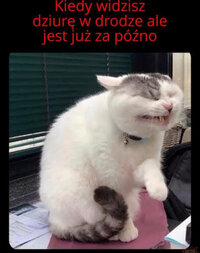 1000060741.jpg
