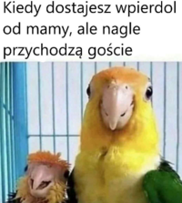 1789585203632.png