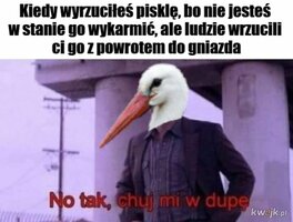 1000060734.jpg