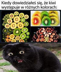 1000060864.jpg
