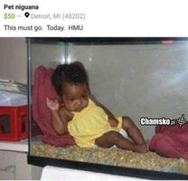 1000061060.jpg