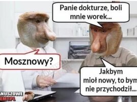 IMG_2156.jpeg