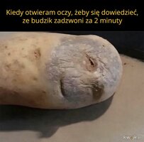 1000060735.jpg