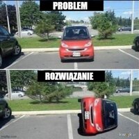 1000061313.jpg