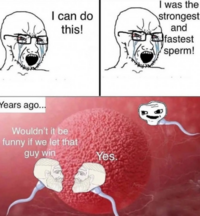 1790260306689.png