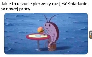 1000061325.jpg