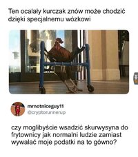 1000061327.jpg