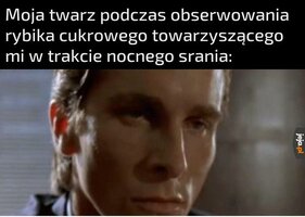 1000061712.jpg