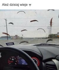 1000061740.jpg
