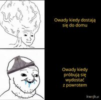 1000061890.jpg