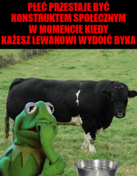 1790871676026.png