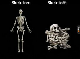 1000062264.jpg
