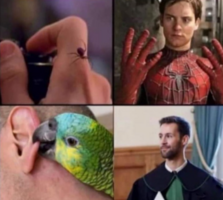 1791301559367.png