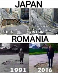 1000062624.jpg