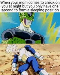 1000062636.jpg