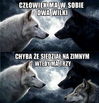 2 wilki.jpg