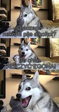 1000063287.jpg