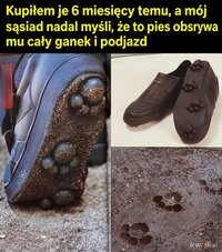 1000063300.jpg