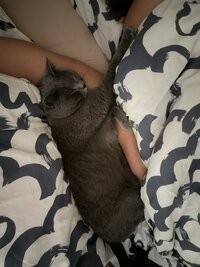 IMG_1832.jpeg