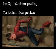 1000063327.jpg
