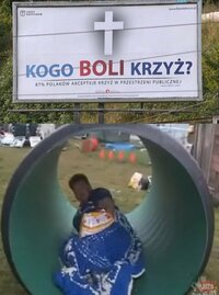 IMG_2232.jpeg