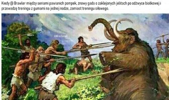 coh.jpg
