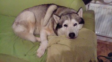 DSC_0681.JPG