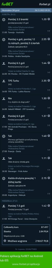 Polish_20221126_093753971.jpg