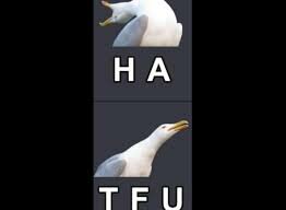 images-2.jpeg